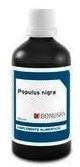 Bonusan Populus Nigra 100ml