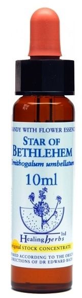 Healing Herbs Star of Bethlehem 10ml Healing Herbs Star of Bethlehem 10ml